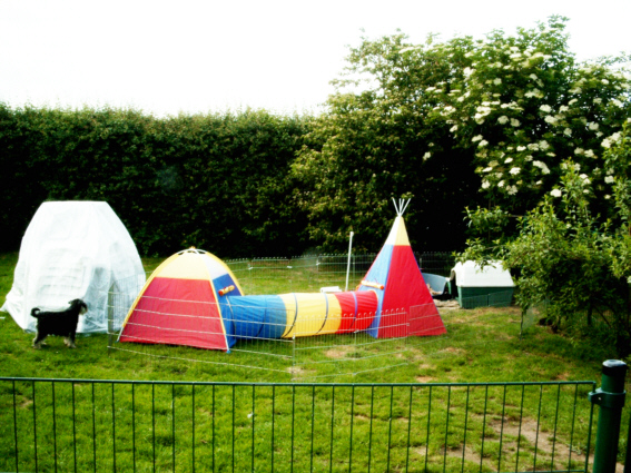 07.06.05 Der Spielplatz ist um einiges vergrssert worden