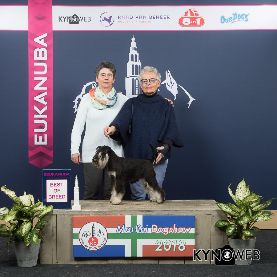 BEST_OF_BREED_548_GRONINGEN_2018_Kynoweb_-20180304-13-36-41-A08Y5257