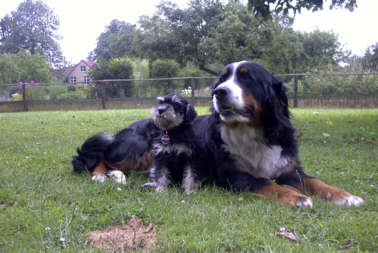 Kara und ihre grosse Freundin