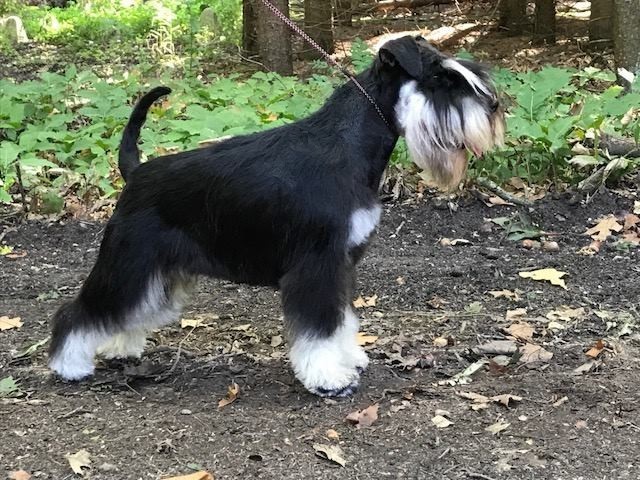 Martha_im_Wald1 Martha_im_Wald1