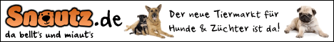 Snautz banner-hunde-468x60