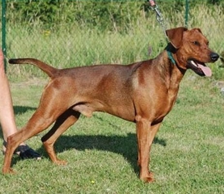 Xitamiz-Samwize-Gamgee2 Xitamiz-Samwize-Gamgee2